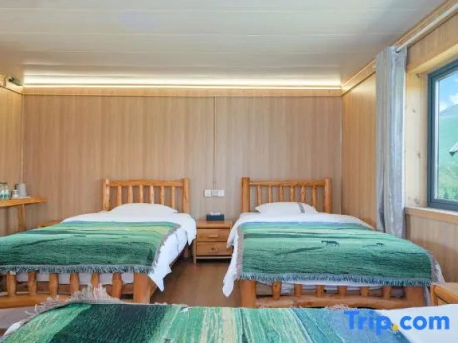 Standard Double Family room