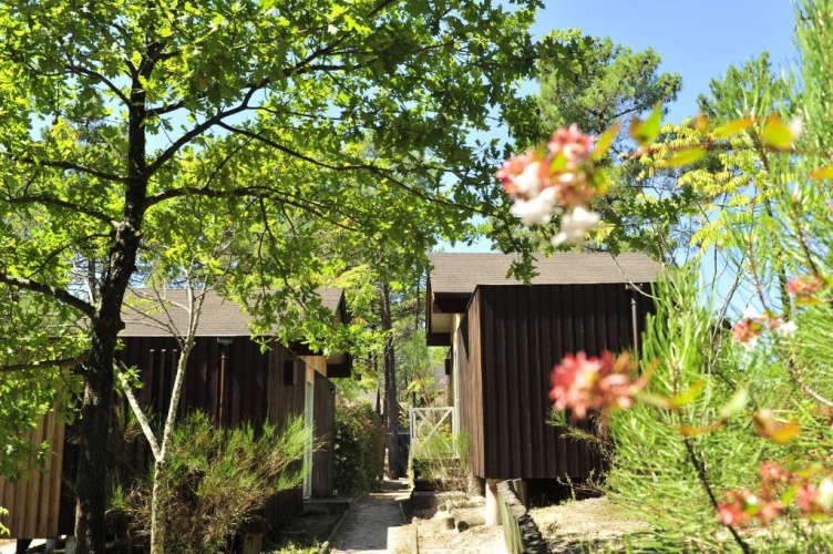 1 Bedroom Chalet