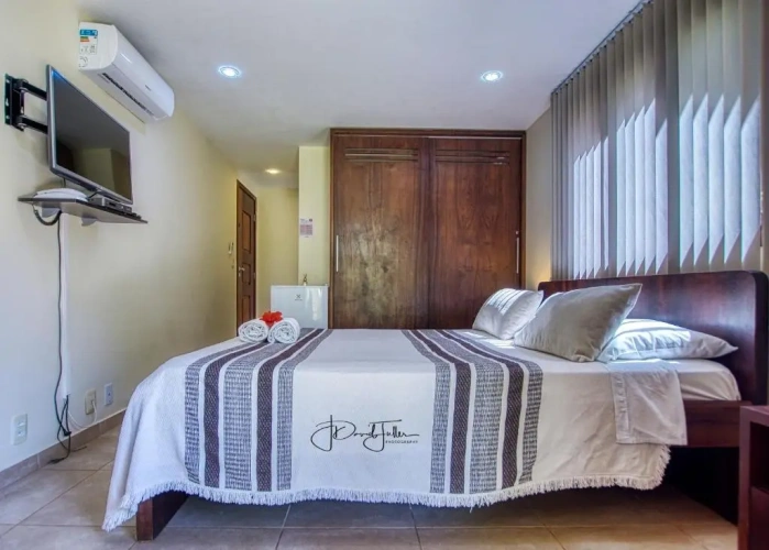 Standard Double room with park view