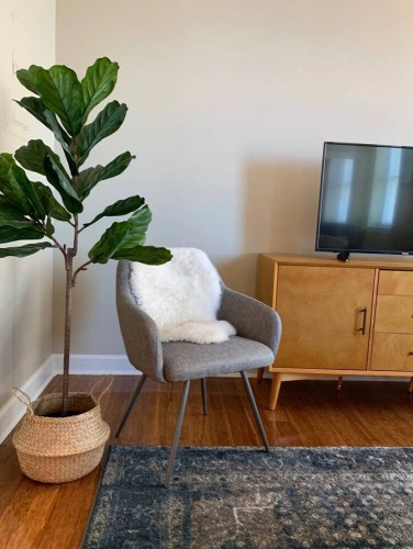 Visit Memphis From A Spacious 1-Bedroom Loft!
