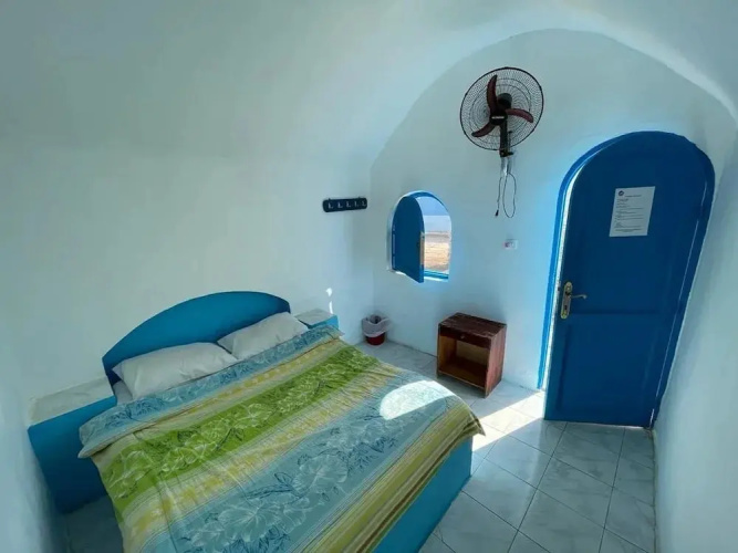 Dolphin Camp