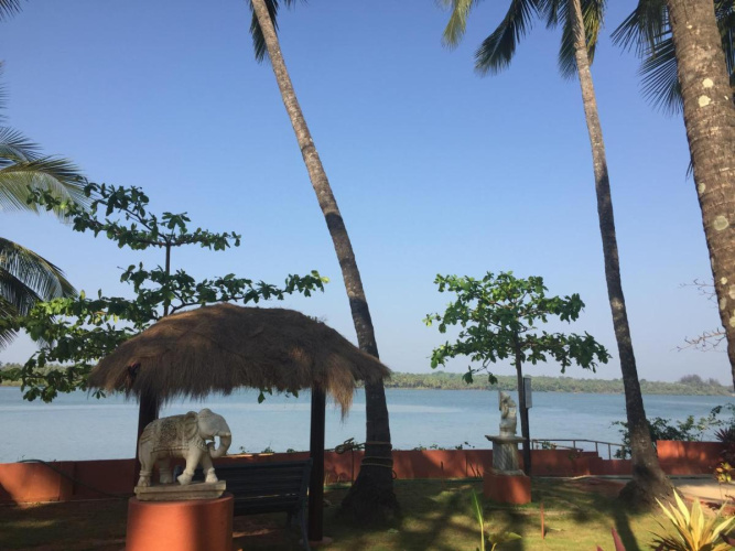 Paradise Lagoon