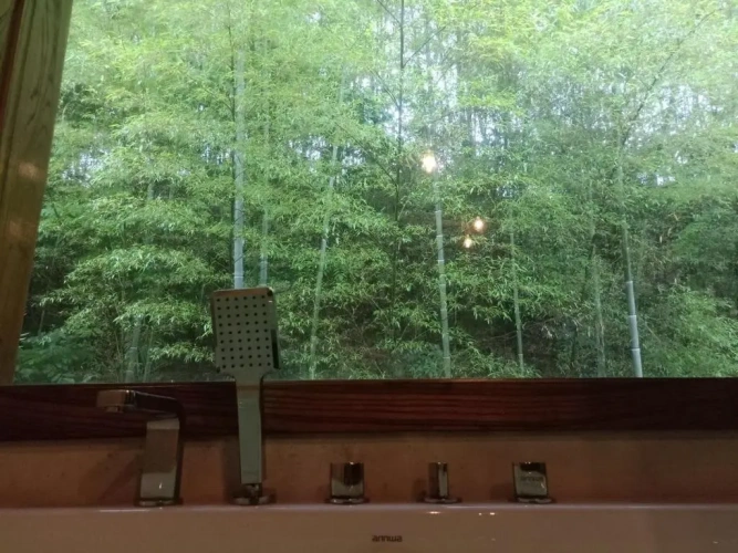 Standard Double room with mountain view