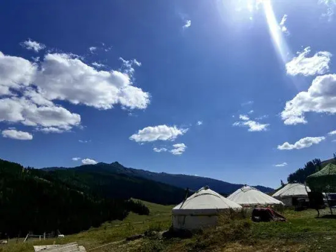 Meet Hemu Homestay