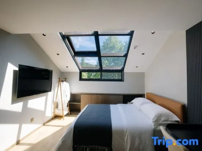 Comfort room