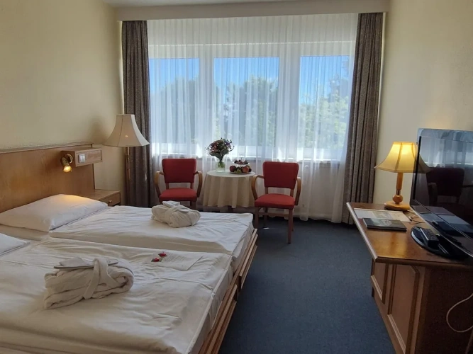 Comfort Double room with mountain view