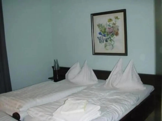 Hotel Moser