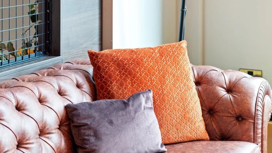 Comfortable & Convenient Studio