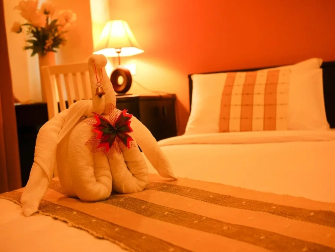 Deluxe room with balcony
