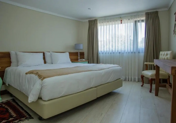 Standard Double room with lake view