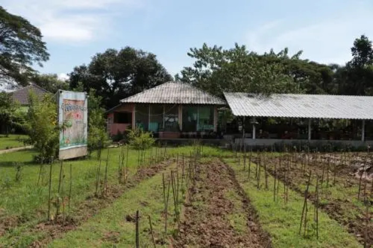 Chiang Dao Story Camp