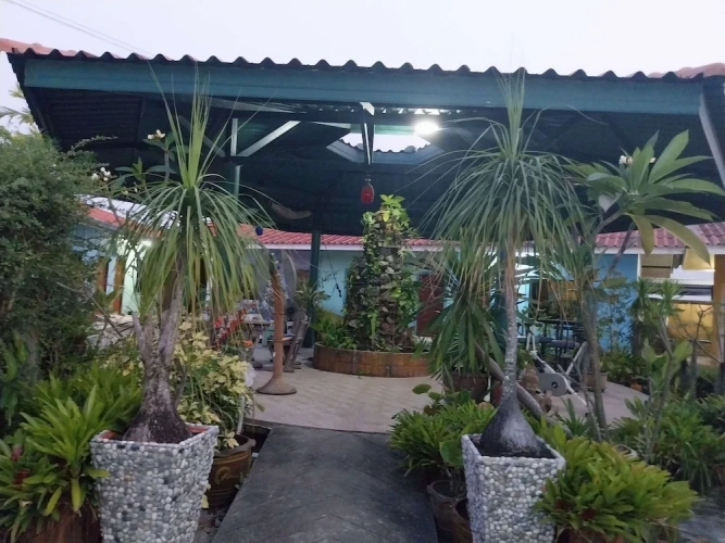 Economy Bungalow