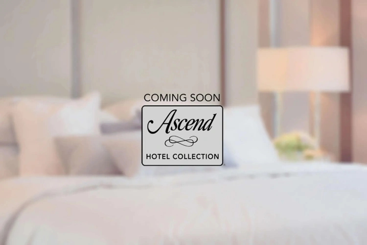 Deluxe Junior Suite