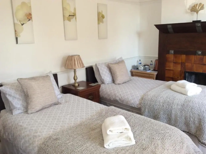 Standard Twin room