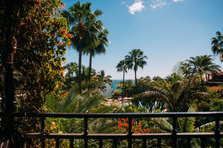 Parque Tropical photo 24