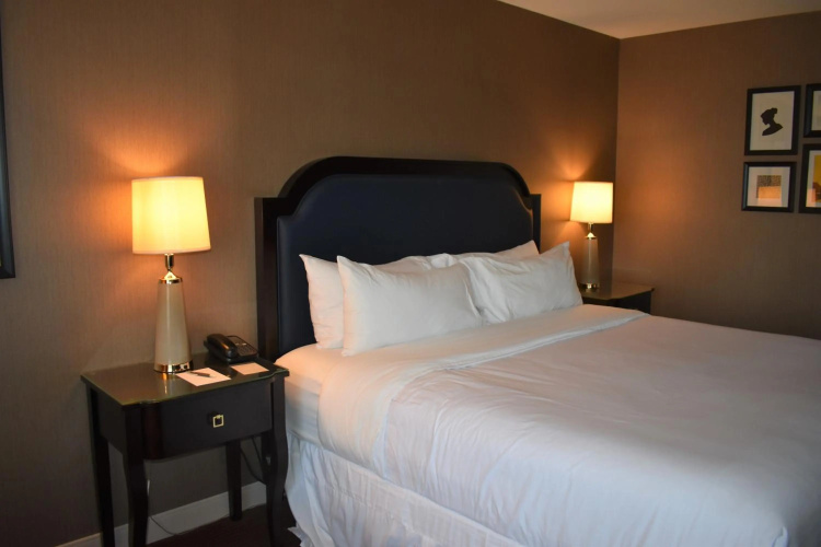 Sheraton Lisle Naperville Hotel photo 7
