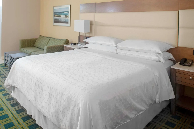 Standard Double room with balcony and with partial ocean view