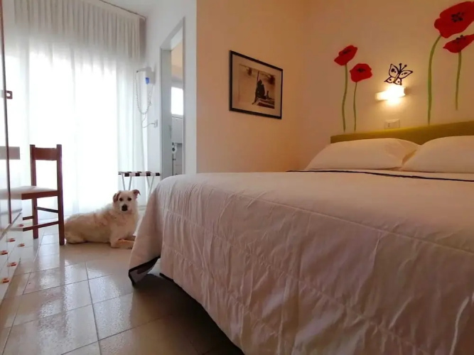 Kristalex Pet Family Hotel
