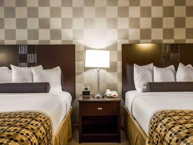 Quadruple Suite