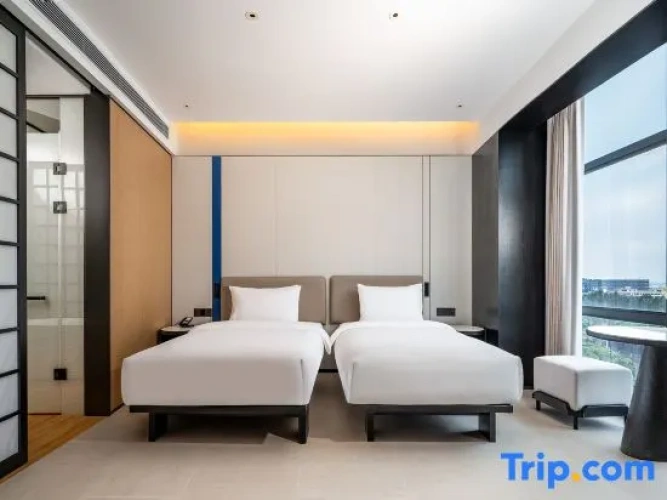 Twin Suite