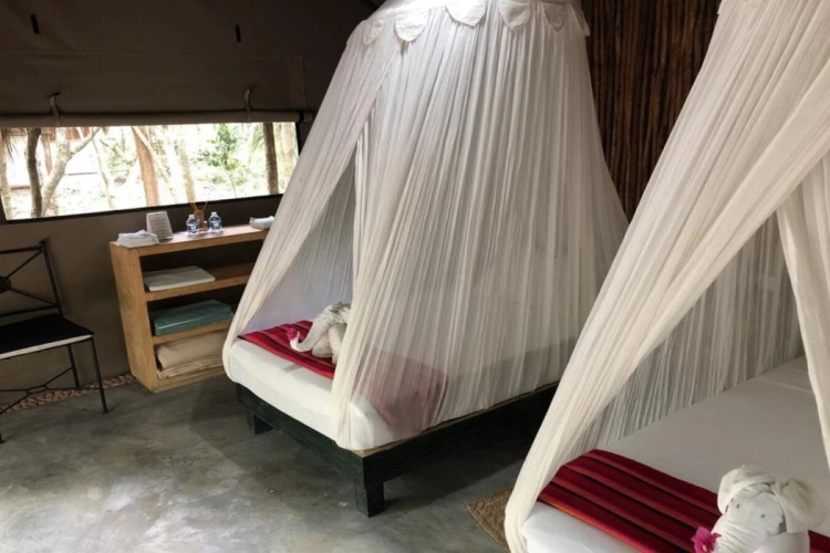 Akumal Natura Glamping