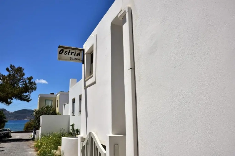 Standard Triple Studio
