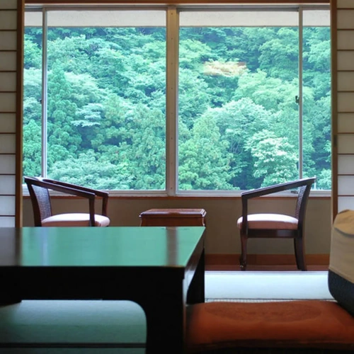 Superior Twin room with mountain view