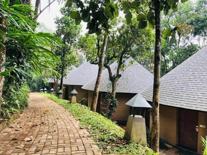 Deluxe Cottage