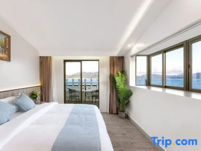 Standard Double room with balcony and with view