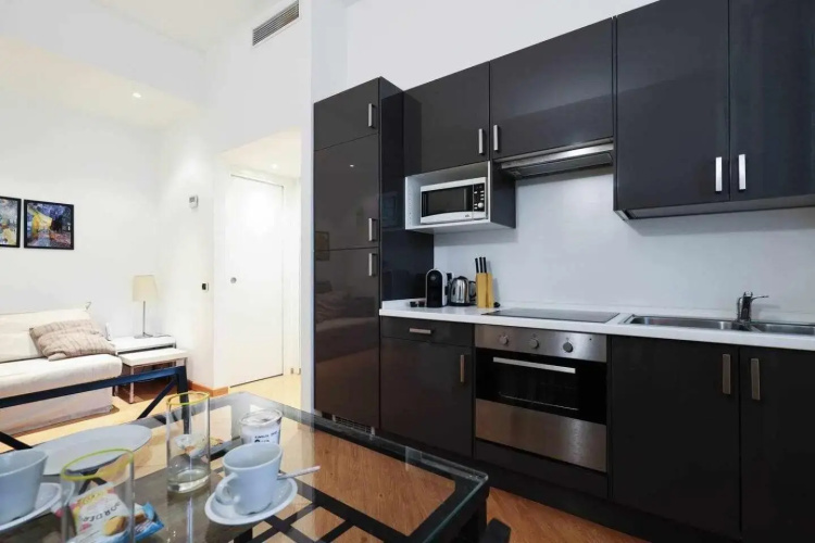 SV18C Charming modern flat S Ambrogio