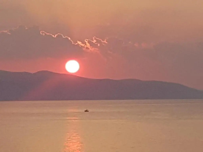 4 Ambelia paradise