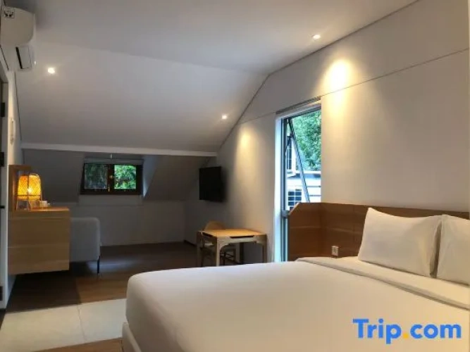 Double Attic Apartment