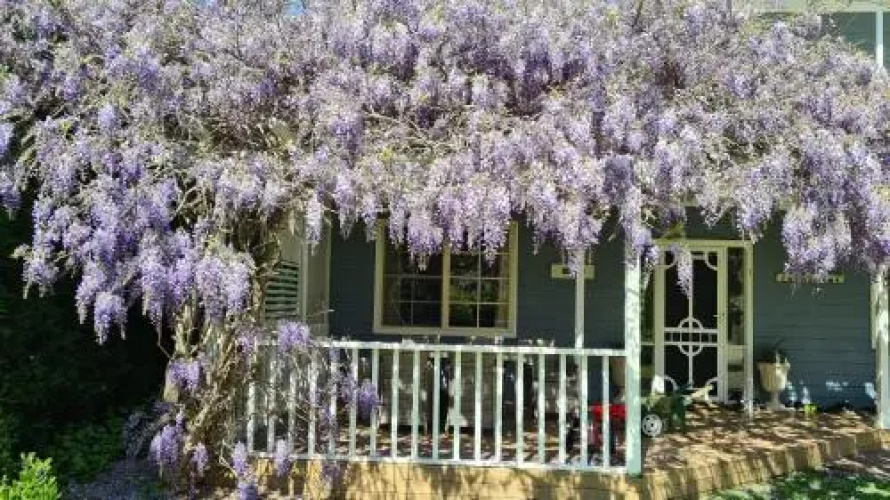 Bowral Escape