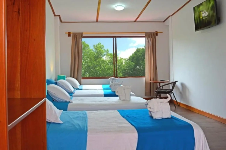 Standard Quadruple room