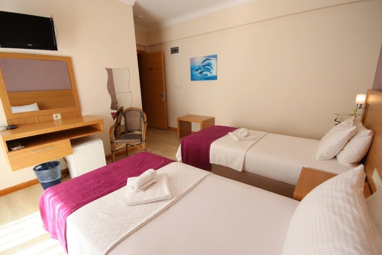 Standard Twin room with garden view