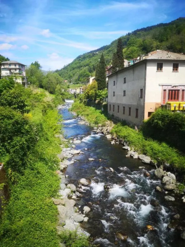 Elicriso Apartment Affittacamere