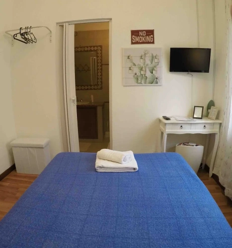 Classic Single room with garden view