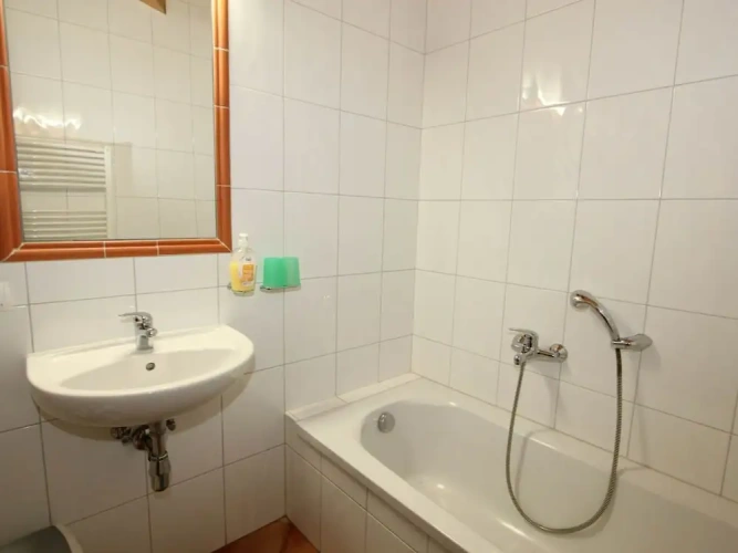 1 Bedroom Classic Apartment