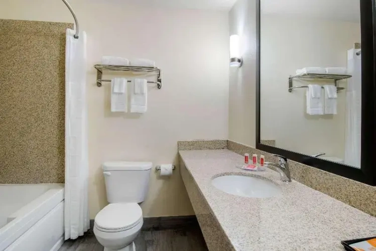 Standard Suite