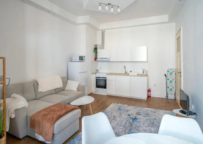 1 Bedroom Apartment
