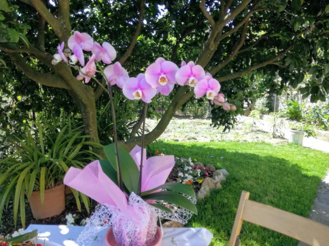Ca' da Rina