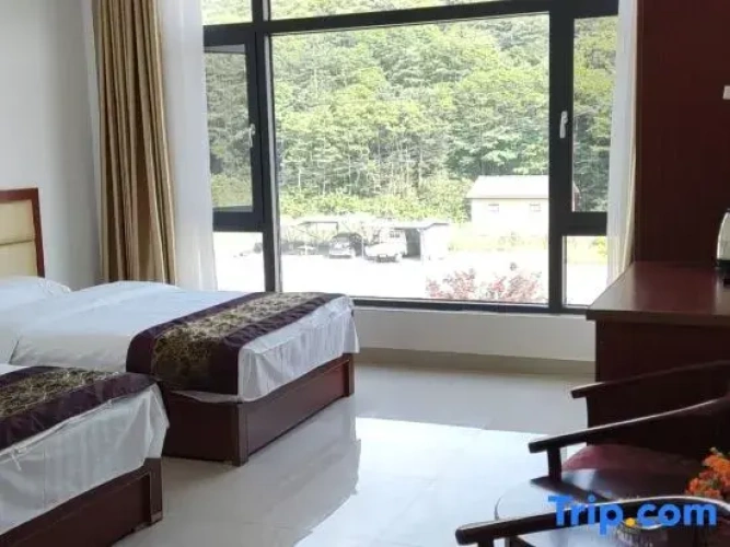 Standard Double room with view