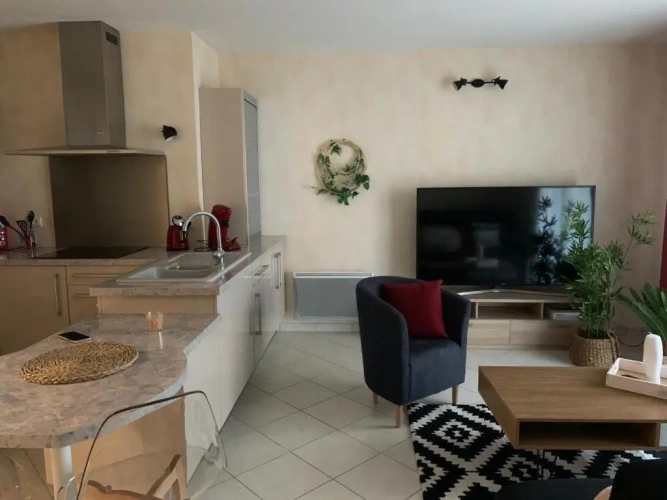 1 Bedroom Apartment