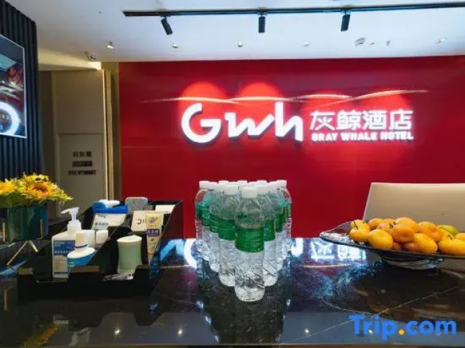 Grey Whale Smart Hotel (Baoding Train Station)