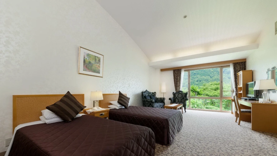 Superior Twin room
