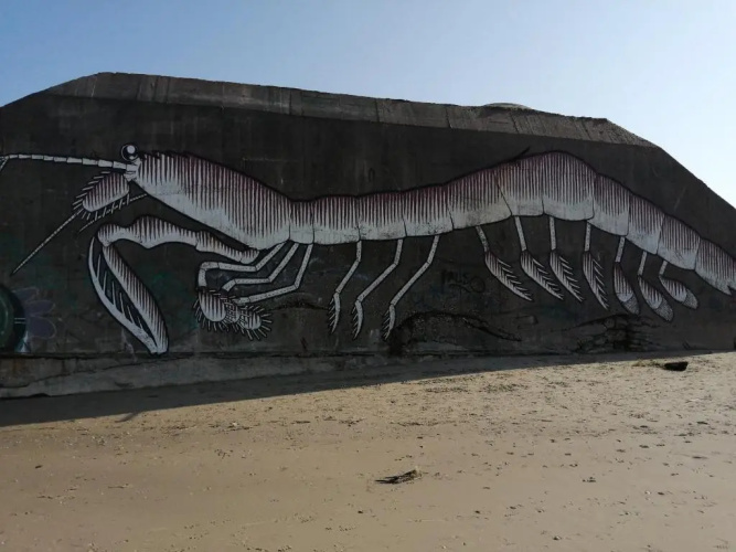 Ste Cécile Plage