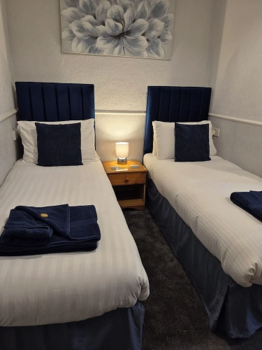 Deluxe Twin Basement room