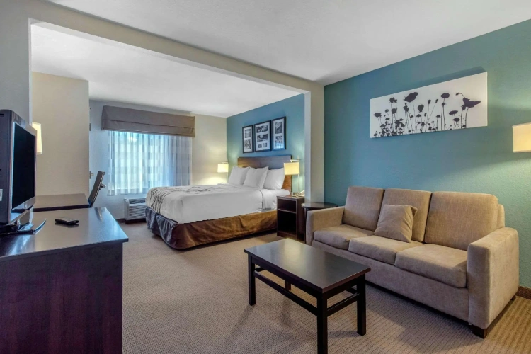 1 Bedroom Suite