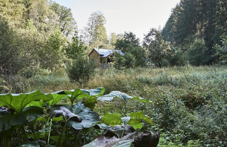 Tiny House Cetturu - 2-pers luxe en romantisch boshuisje