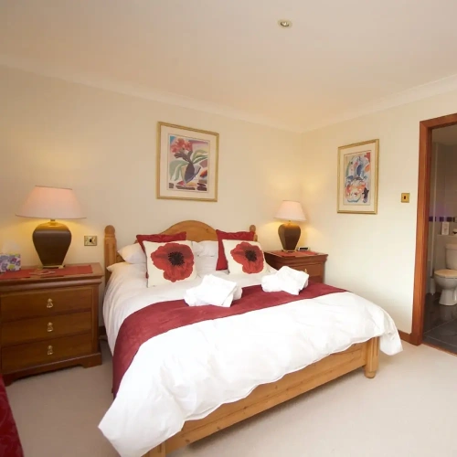 Superior Double room with land view
